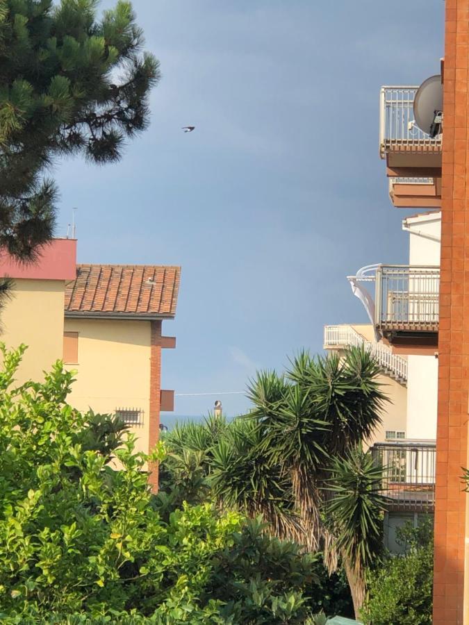 Moonlight Next Palapellicone Tra Mare E Pineta Monolocale Lägenhet Lido di Ostia Exteriör bild